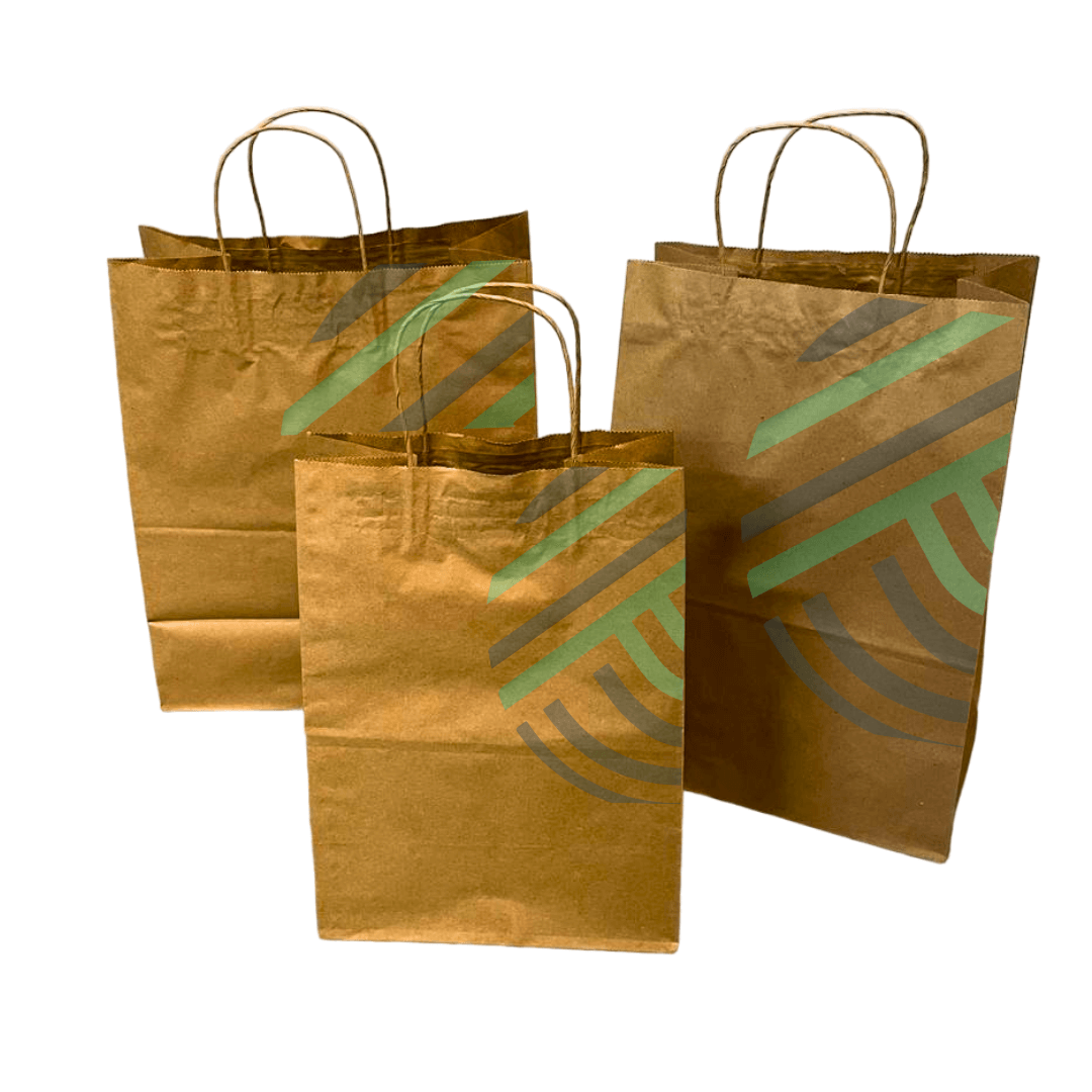 Bolsas de papel personalizadas (1)